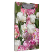Heldere witte en roze tulpen op een zonnige dag klembord (Rechts)