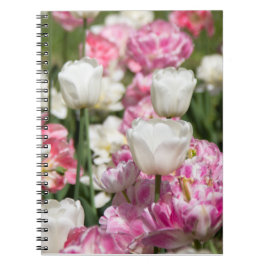 Heldere witte en roze tulpen op een zonnige dag notitieboek