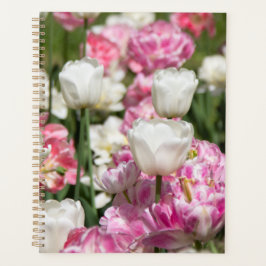 Heldere witte en roze tulpen op een zonnige dag planner