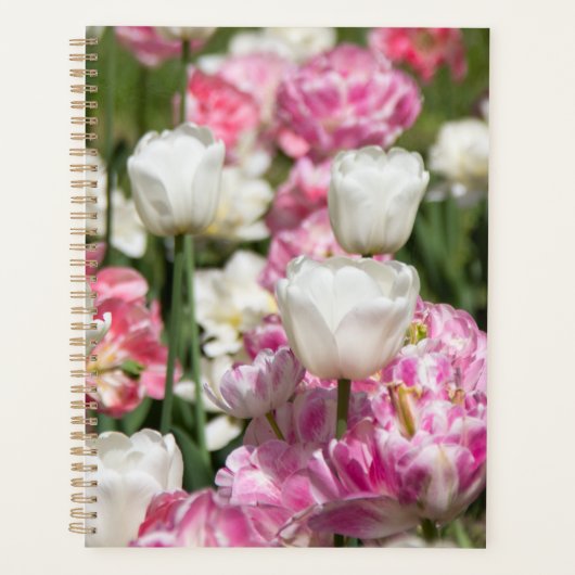 Heldere witte en roze tulpen op een zonnige dag planner (Voorkant)