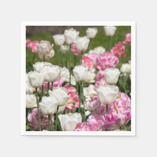 Heldere witte en roze tulpen op een zonnige dag servet (Voorkant)