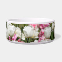 Heldere witte en roze tulpen op een zonnige dag