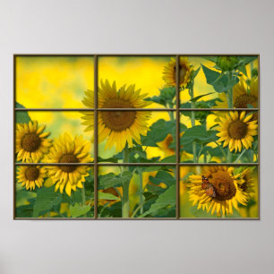 Heldere zondag poster