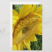 Heldere zonnebloem briefpapier (Voorkant / Achterkant)