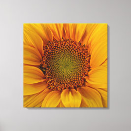 Heldere zonnebloem canvas afdruk