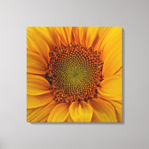 Heldere zonnebloem canvas afdruk