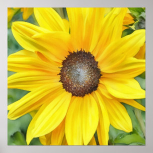 Heldere Zonnebloem Close-up Waterverf Style Art Poster