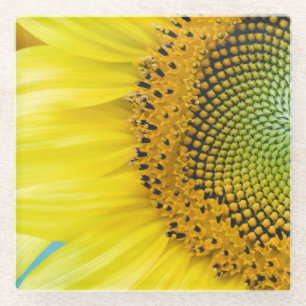 Heldere zonnebloem glazen onderzetter