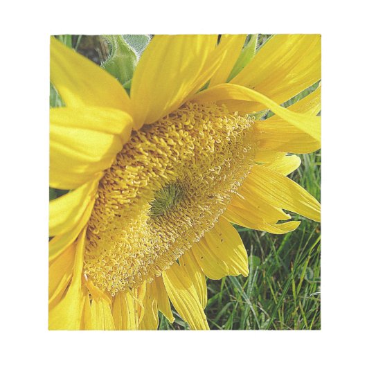 Heldere zonnebloem notitieblok (Voorkant)