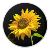 Heldere zonnebloem op zwarte achtergrond keramische knop (Voorkant)