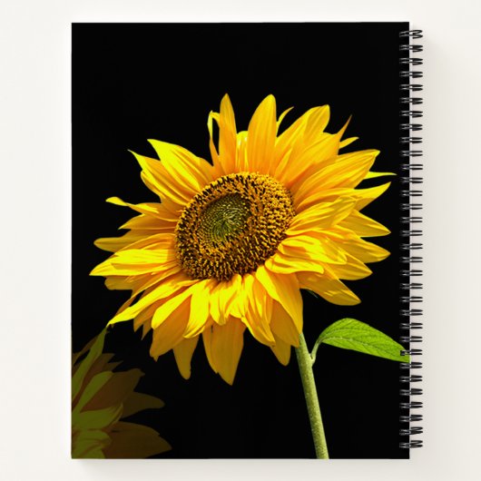 Heldere zonnebloem op zwarte achtergrond notitieboek (Achterkant)