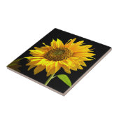 Heldere zonnebloem op zwarte achtergrond tegeltje (Zijkant)