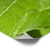 Heldere zonnebloem poster (Hoek)