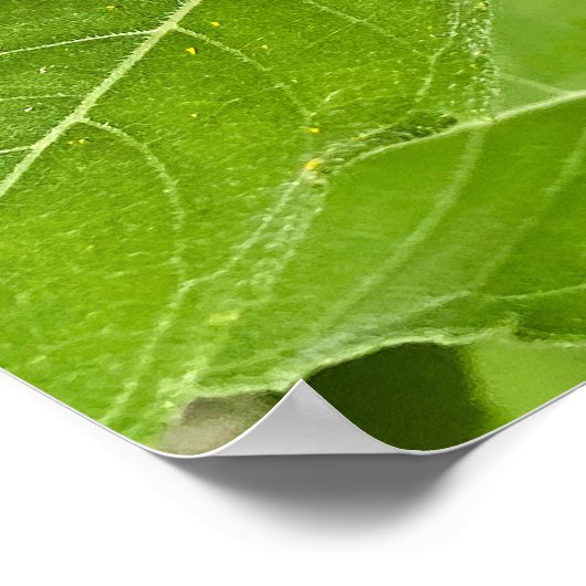 Heldere zonnebloem poster (Hoek)