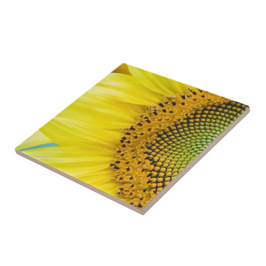 Heldere zonnebloem tegeltje (Zijkant)