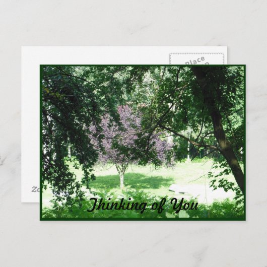 Heldere zonnestische bomen denken aan jou briefkaart (Voorkant / Achterkant)
