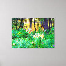 Heldere zonsopgang met boomluizen in mijn Rubio Ga