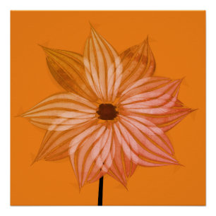 Helderend Herfst ventilator Poster