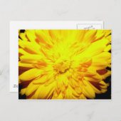 Heldergeel briefkaart (Voorkant / Achterkant)
