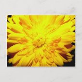 Heldergeel briefkaart (Voorkant)