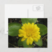 Heldergeel Briefkaart (Voorkant / Achterkant)