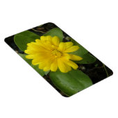 Heldergeel Marigold Premium Magnet Magneet (Rechterzijde)