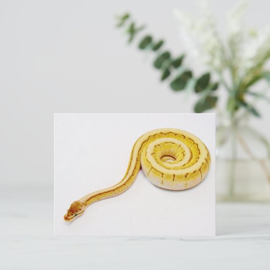 Heldergele doorbraakpython briefkaart (Staand voorkant)