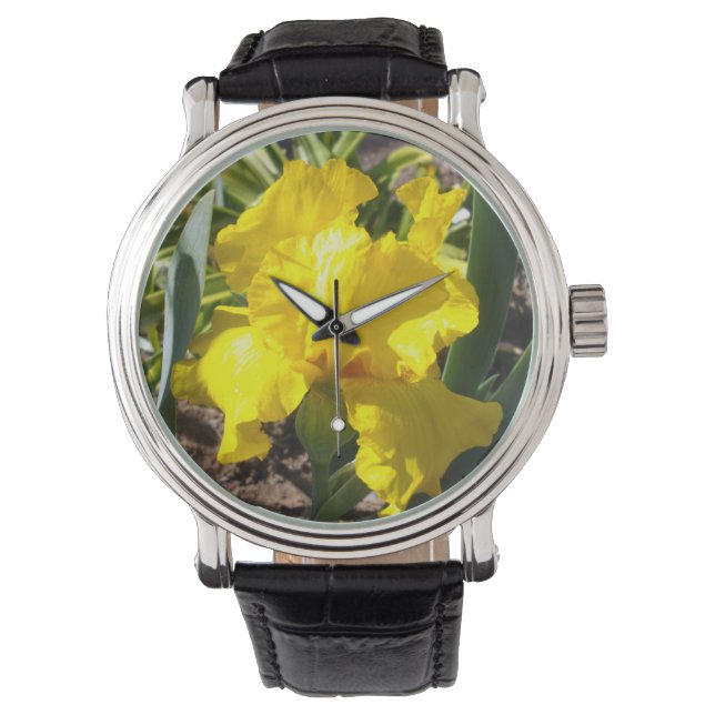 Heldergele iris, horloge (Voorkant)