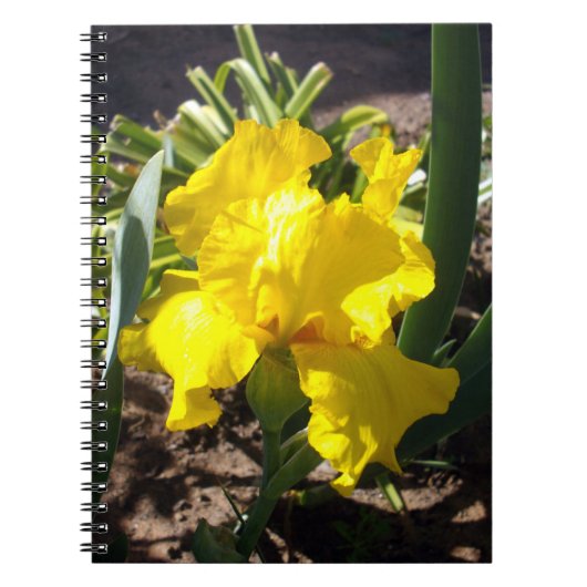Heldergele irisbloem, Notitieboek (Voorkant)