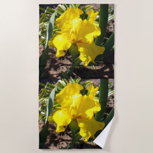 Heldergele Irisbloem, Strandsjaal Strandlaken (Voorkant)