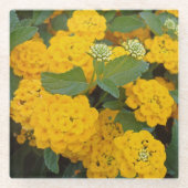 Heldergele Lantana Flower Blooms Cheerful Glazen Onderzetter (Voorkant)