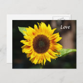 Heldergele zonnebloem briefkaart (Voorkant / Achterkant)