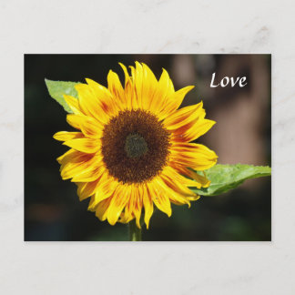Heldergele zonnebloem briefkaart