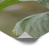 Heldergele zonnebloem, close-up foto CC0034 Poster (Hoek)