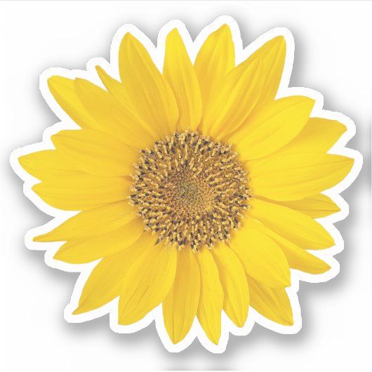 Heldergele Zonnebloem Contour Sticker (Voorkant)
