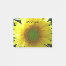 Heldergele zonnebloem