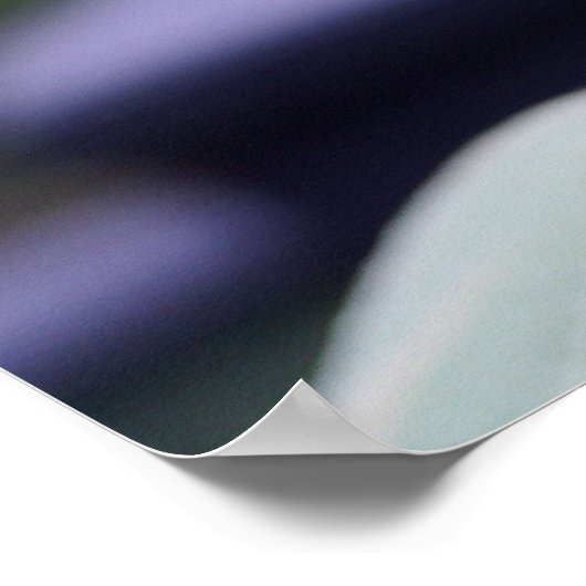 Heldergele zonnebloem poster (Hoek)