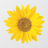 Heldergele zonnebloem raamsticker (Vel)