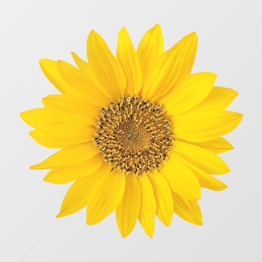 Heldergele zonnebloem raamsticker (Vel)