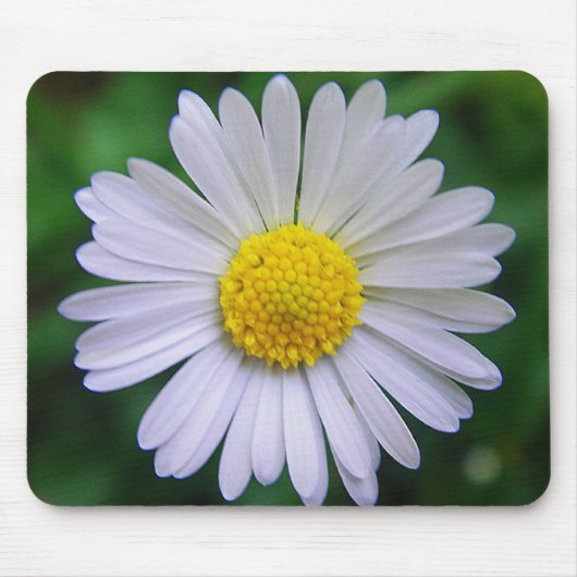 Heldergelige maisie muismat (Voorkant)