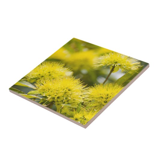 Heldergelige wattenboom tegeltje (Zijkant)