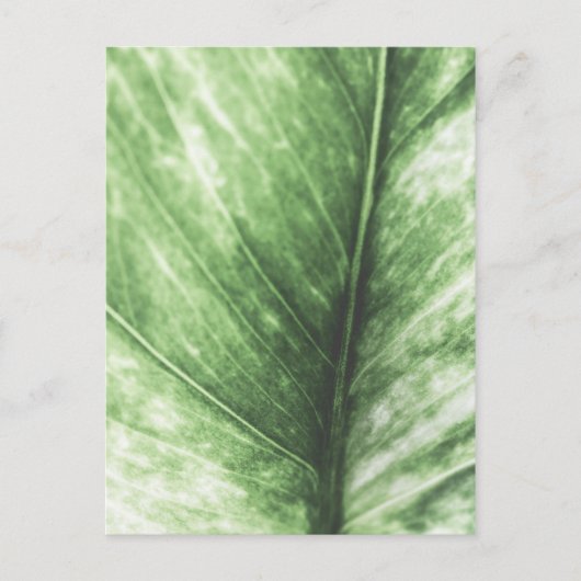 Heldergroen bladbloemontwerp briefkaart (Voorkant)