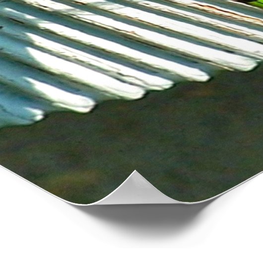 Heldergroene dragonfly sluit Natuur op Poster (Hoek)