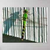 Heldergroene dragonfly sluit Natuur op Poster (Voorkant)