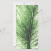 Heldergroene Kaart met elastisch elastisch design (Voorkant)