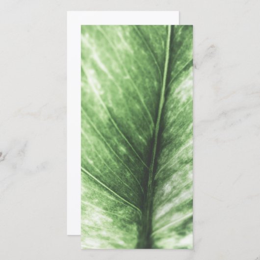 Heldergroene Kaart met elastisch elastisch design (Voorkant / Achterkant)