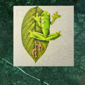 Heldergroene kikker van de glijboom op  wit tegeltje