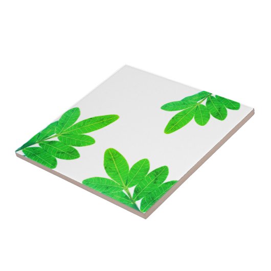 Heldergroene mangobomen bladeren tegeltje (Zijkant)