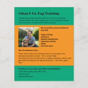 Heldergroene oranje hondentraining huisdierdienste flyer