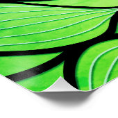 Heldergroene tinten creatief verlofpatroon perfect poster (Hoek)